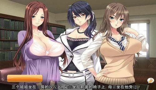 偶像人妻安卓汉化教程 手把手教你玩中文版