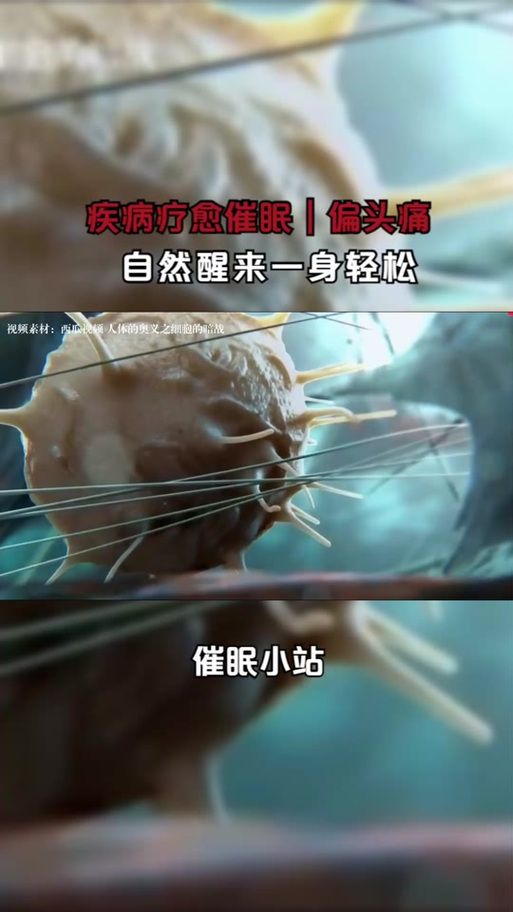 催眠大师游戏攻略教你快速掌握催眠技巧