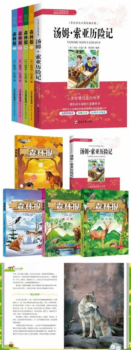 光明之主最新版本是多少 2023最新版号查询