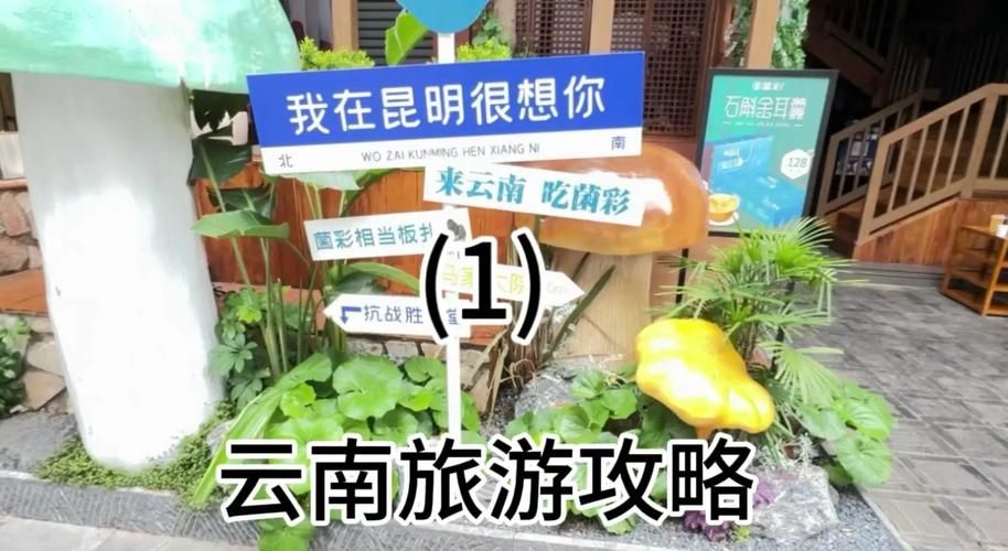 克拉肯城市官方网站提供旅游攻略与交通指南