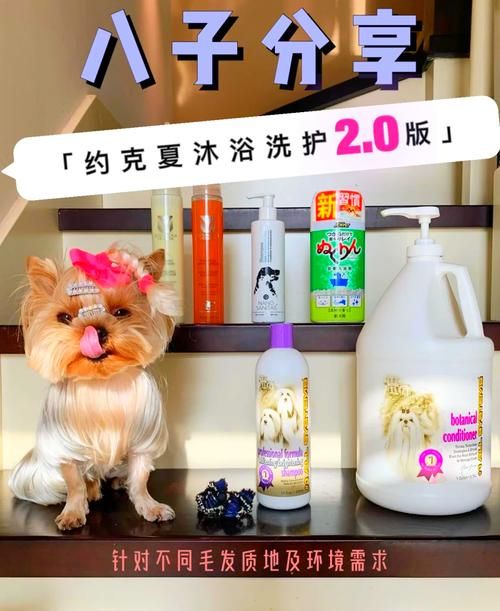 克里斯汀沃森官网产品介绍与使用心得