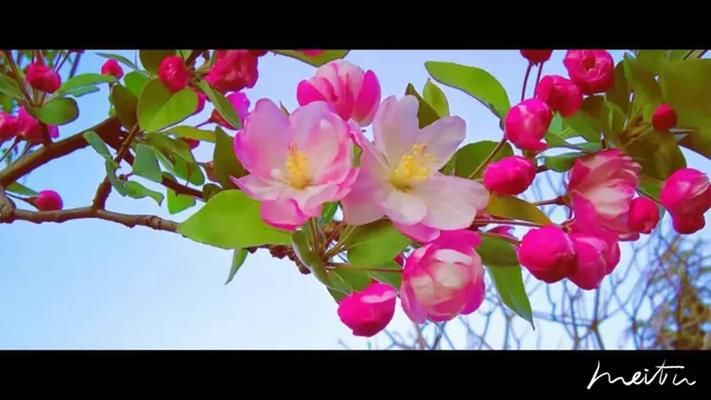 免费下载我声音的颜色安卓汉化 感受声音与色彩的完美结合
