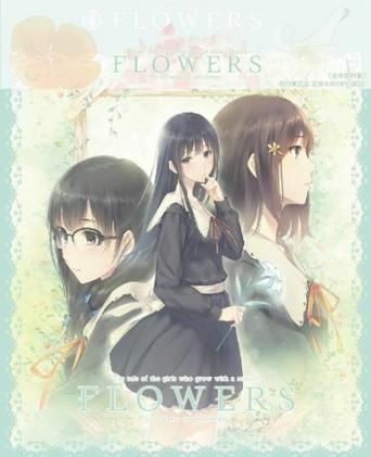 免费获取WitchPlease游戏下载 完整汉化版资源分享