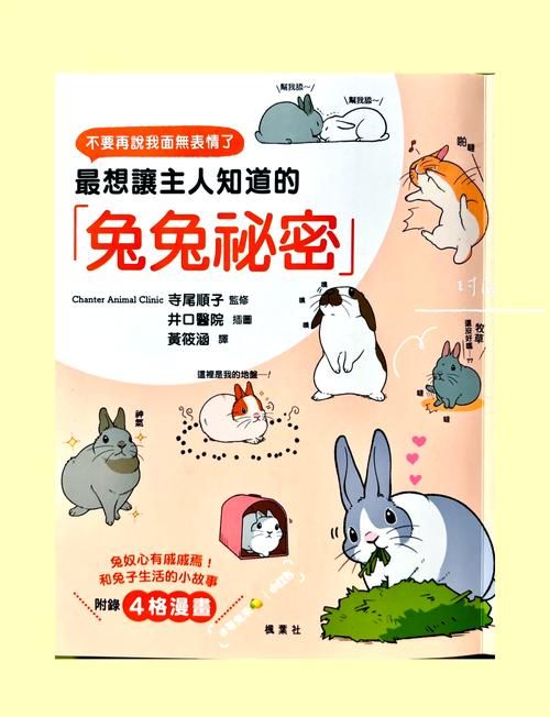 兔兔秘密花园汉化版下载安装教程 手把手教你玩