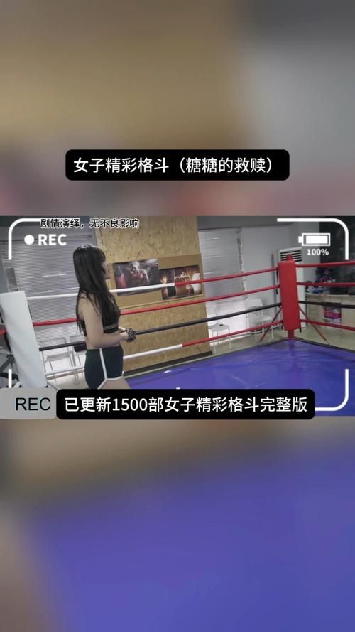全女格斗安卓版本评测 真实体验分享