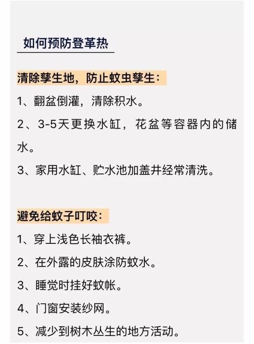 全科医生如何下载应用 详细步骤分享给你