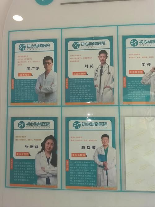 全科医生官方网站提供哪些实用医疗资源