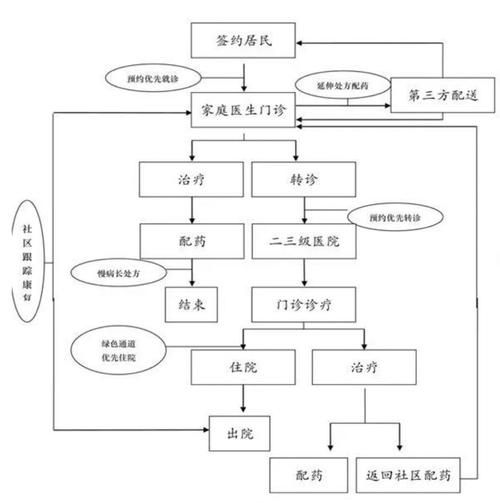 全科医生游戏下载教程 手把手教你快速安装体验