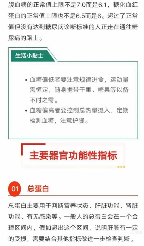全科医生游戏下载教程 手把手教你快速安装体验