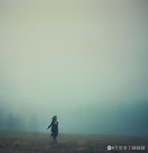 全网最全绝望版本大全 看完让人心凉半截