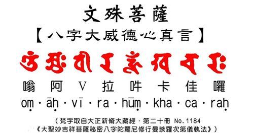 全能的咒语官网下载安装教程 新手必看指南