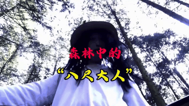八尺大人是女性魔物官网带你了解她的起源与能力