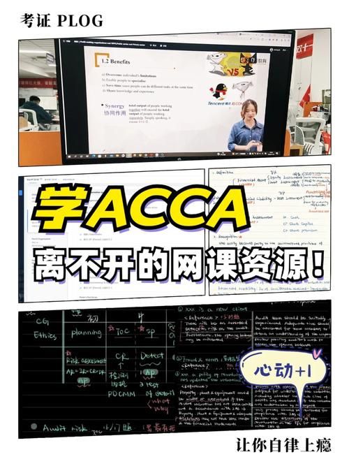 公主协同效应安卓手机适配问题解决