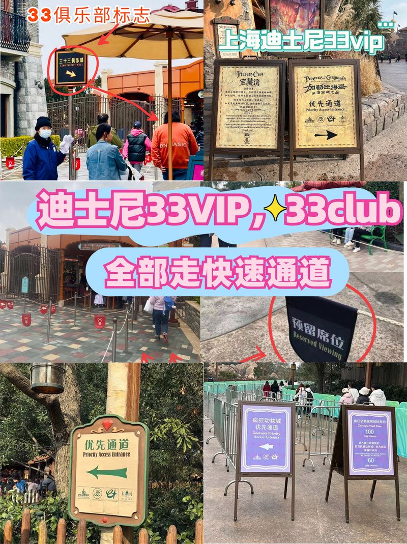 公主协同效应游戏下载快速通道及安装步骤