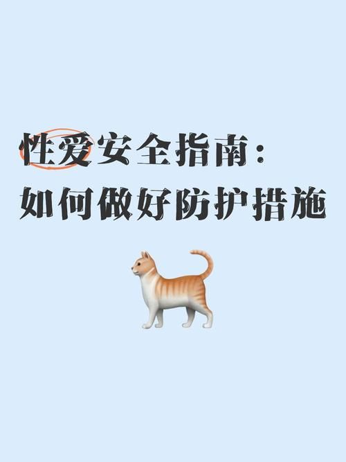 公共性生活官方正式版下载最新版安全免费获取方法