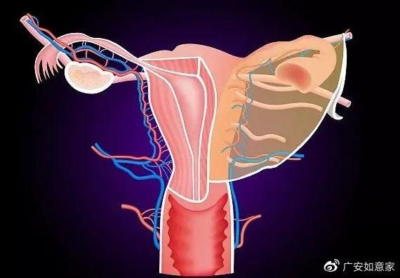 公共性生活汉化版最新改动这些内容别错过