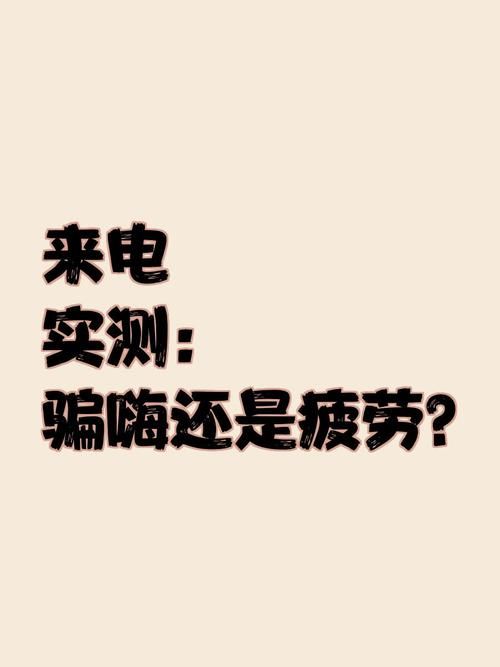 公司的女孩最新版本评测与体验报告