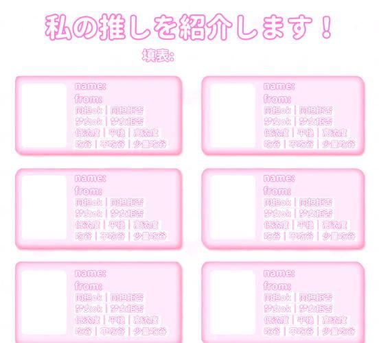 公司的女孩最新版本评测与体验报告