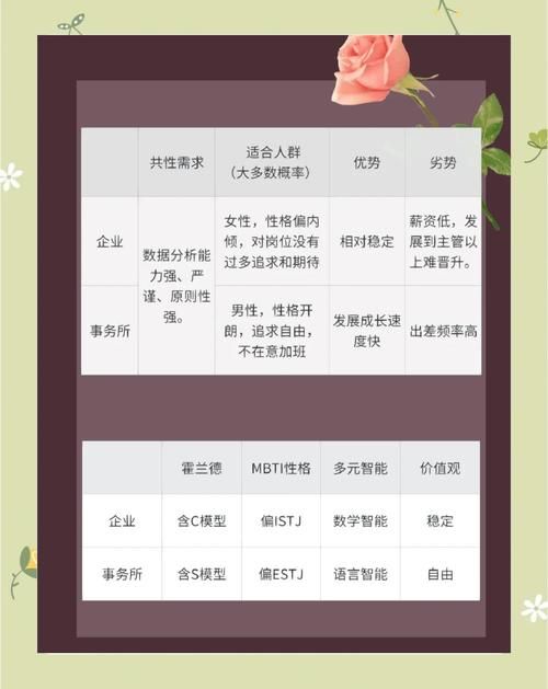 公司的女孩最新职业规划 三年内升职加薪的路径