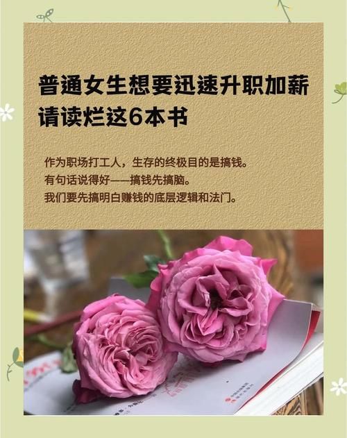 公司的女孩版本大全 新人必看职场生存手册