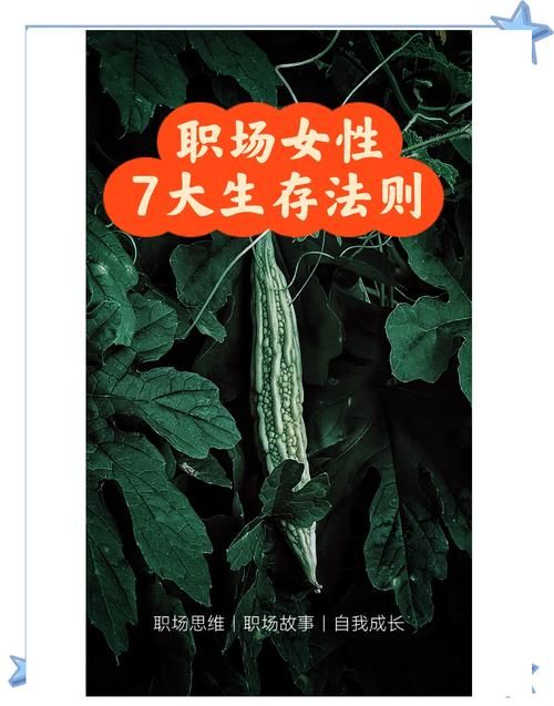 公司的女孩版本大全 新人必看职场生存手册
