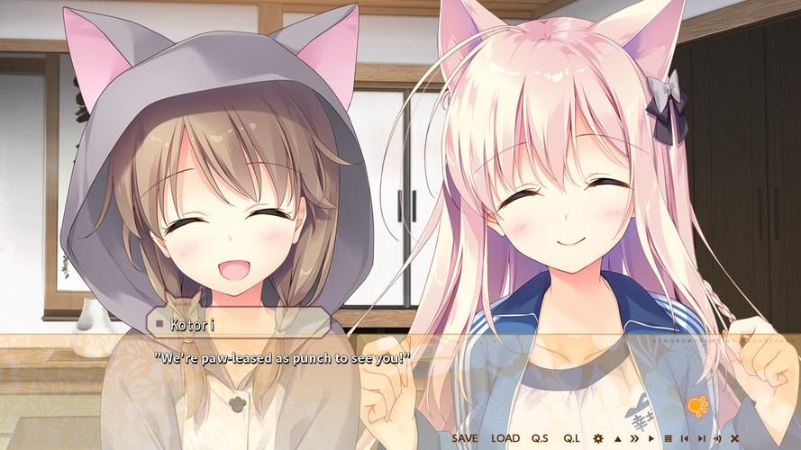 兽耳少女的治疗官方正式版下载最新版ios版