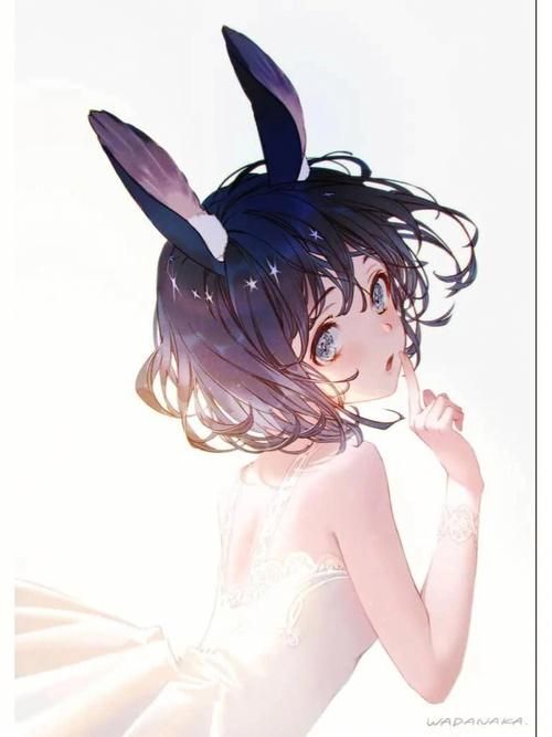 兽耳少女的治疗最新版本是多少 版本更新内容一览