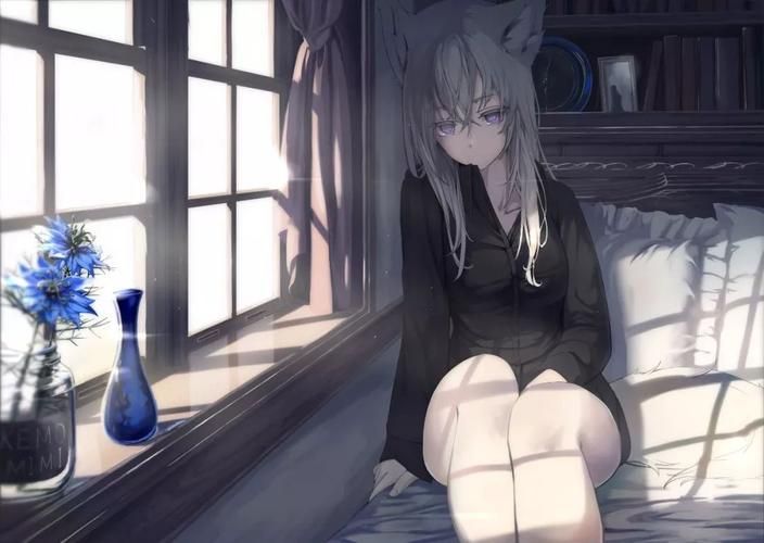兽耳少女的治疗最新版本是多少 版本更新内容一览