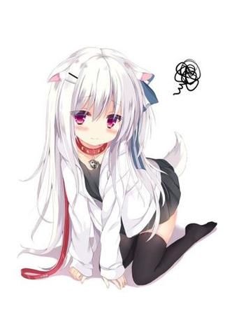 兽耳少女的治疗游戏介绍 萌系画风治愈心灵