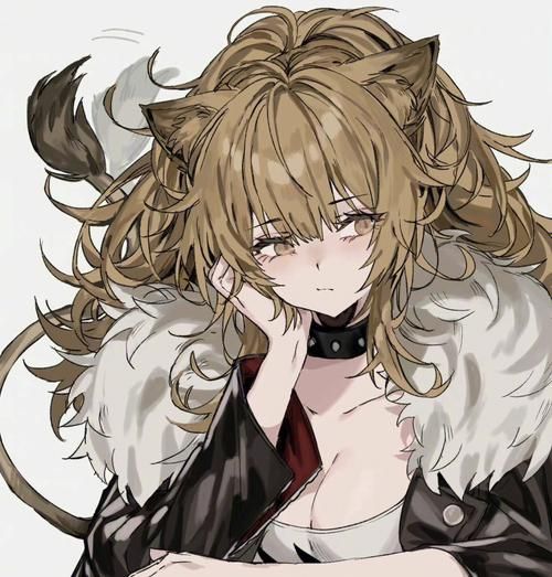 兽耳少女的治疗绅士游戏评测 玩家真实体验分享
