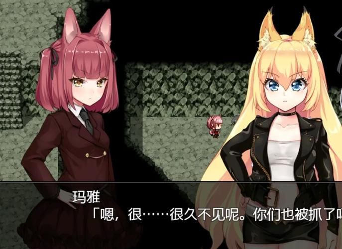 兽耳少女的治疗绅士游戏评测 玩家真实体验分享