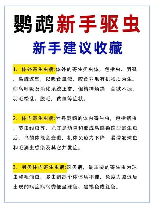 内部寄生虫下载指南 解决常见问题的方法