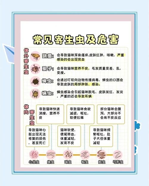 内部寄生虫下载指南 解决常见问题的方法