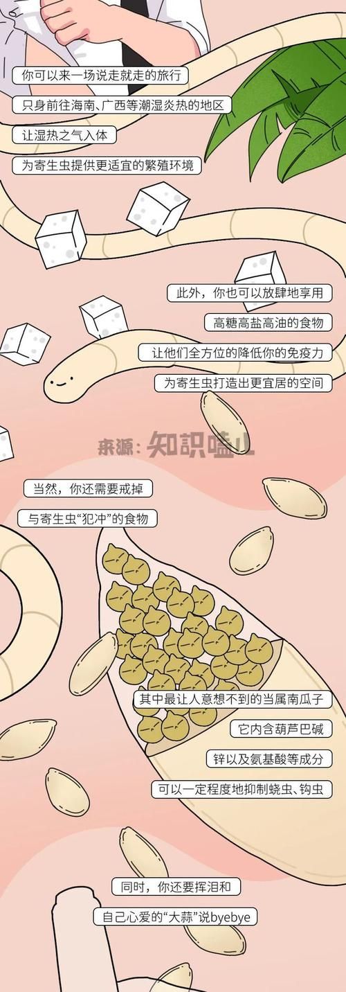 内部寄生虫下载指南 解决常见问题的方法