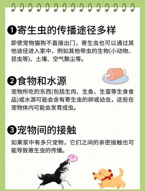内部寄生虫下载指南 解决常见问题的方法