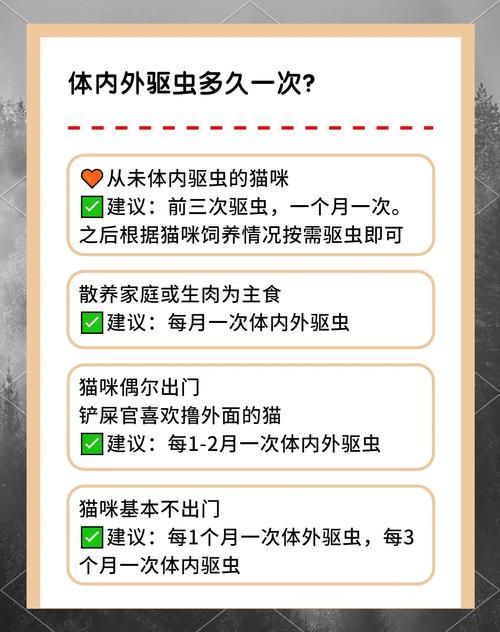 内部寄生虫下载指南 解决常见问题的方法