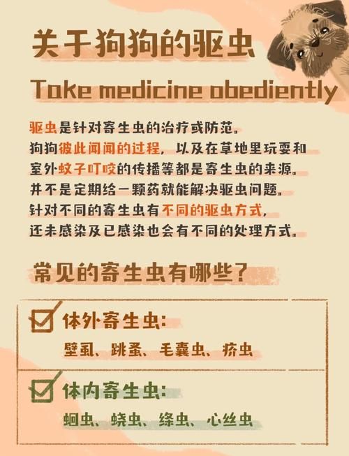 内部寄生虫下载指南 解决常见问题的方法