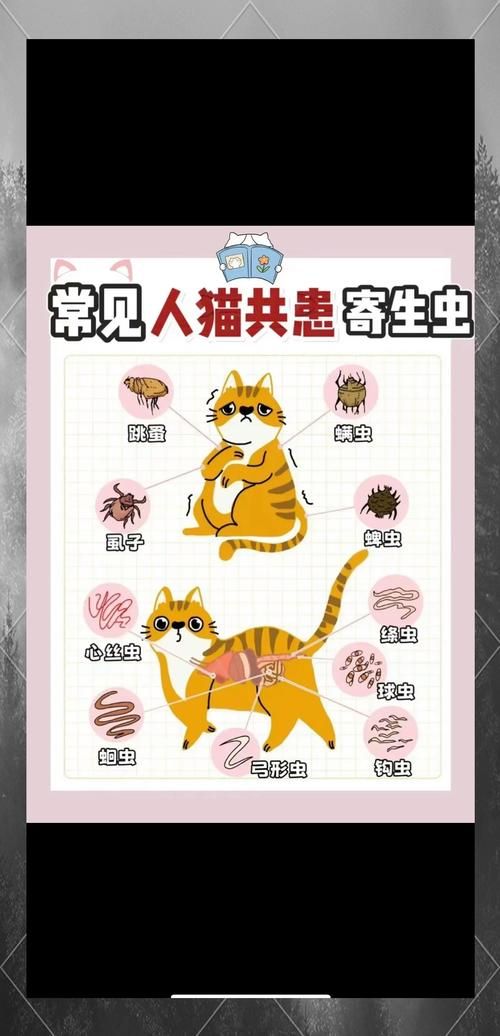 内部寄生虫下载指南 解决常见问题的方法