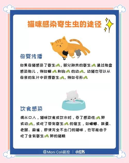 内部寄生虫下载指南 解决常见问题的方法