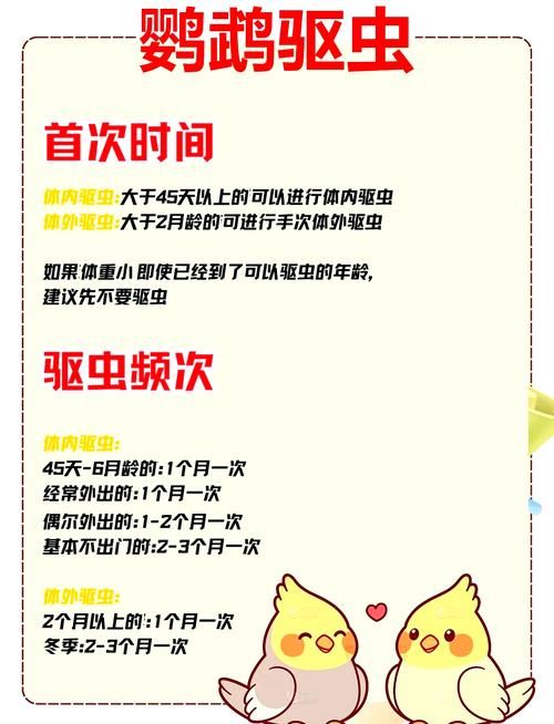 内部寄生虫下载指南 解决常见问题的方法
