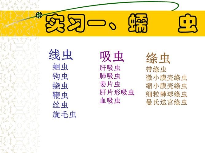 内部寄生虫在哪下载 快速获取资源教程与步骤