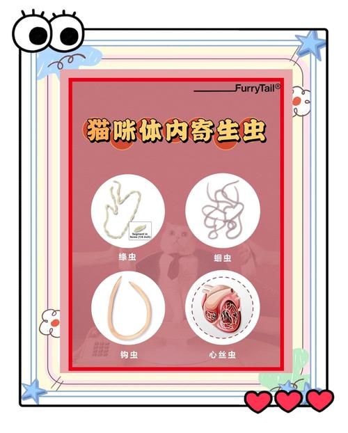 内部寄生虫在哪下载 快速获取资源教程与步骤