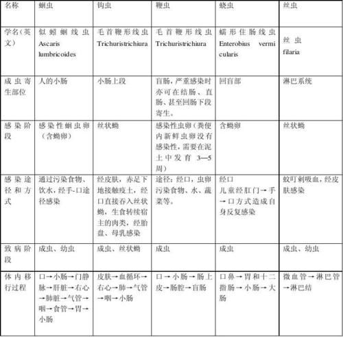 内部寄生虫在哪下载 快速获取资源教程与步骤