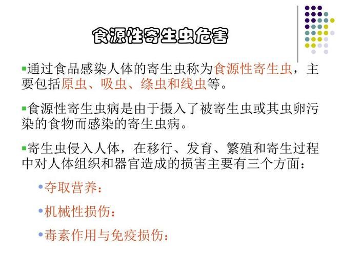 内部寄生虫在哪下载 快速获取资源教程与步骤