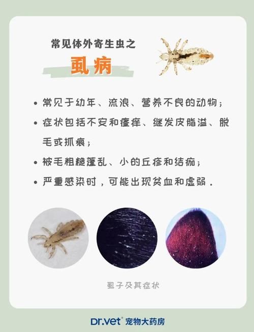 内部寄生虫官网问答 关于寄生虫的常见问题解答