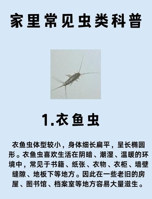 内部寄生虫官网问答 关于寄生虫的常见问题解答