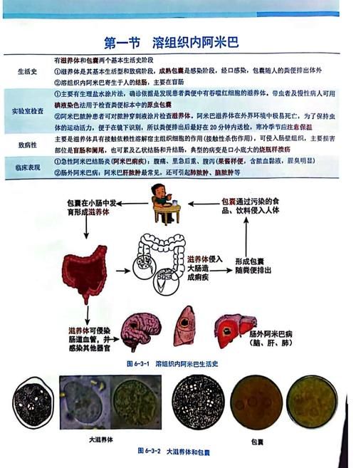 内部寄生虫最新版本常见问题解答与建议