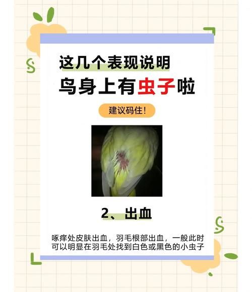 内部寄生虫最新版本常见问题解答与建议