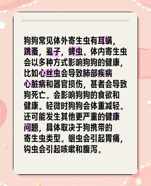 内部寄生虫最新版本常见问题解答与建议