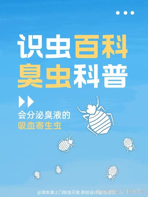 内部寄生虫最新版本常见问题解答与建议